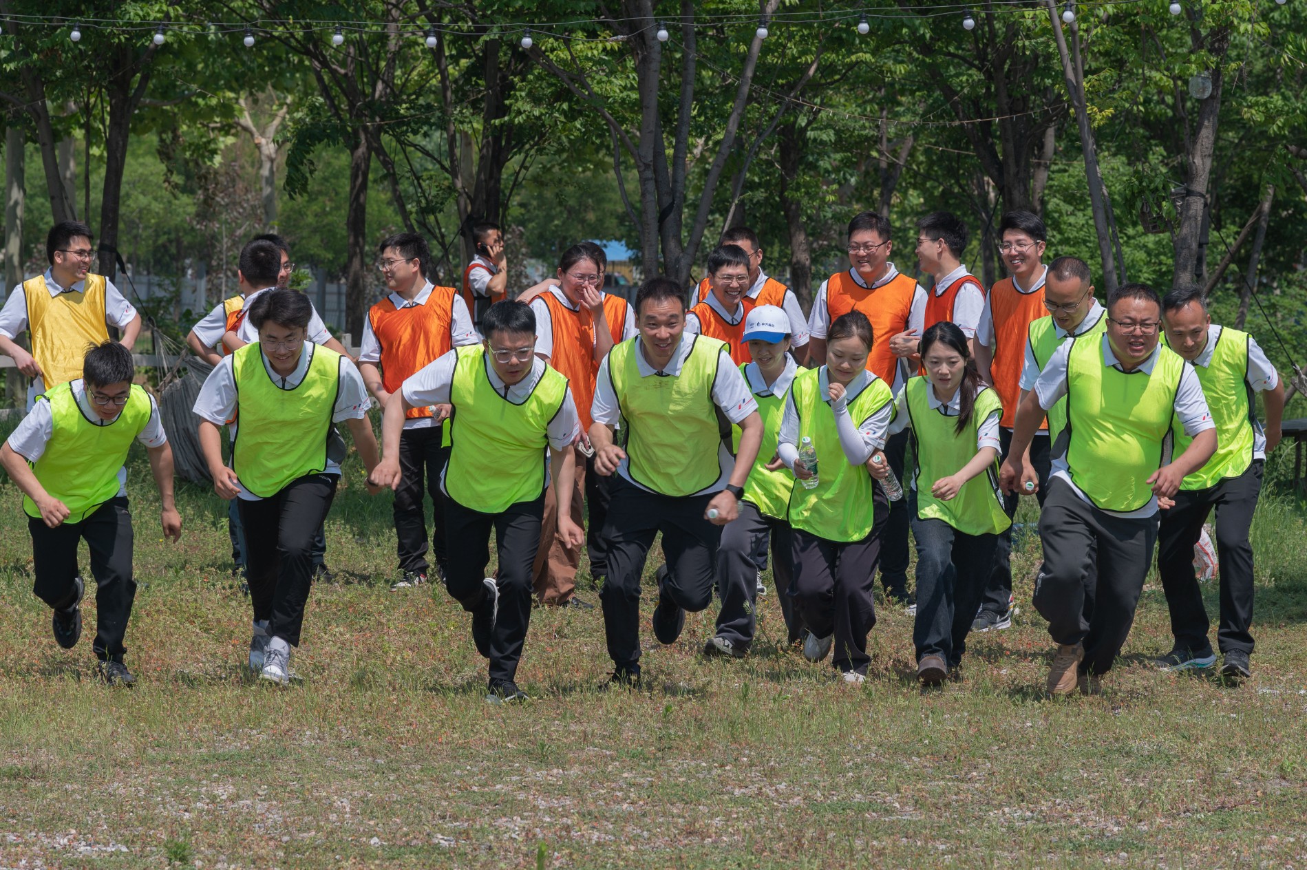 微信图片_2025-05-12_115044_418.jpg 微信图片_2025-05-12_115044_418.jpg